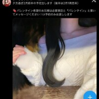 2月前半今日スタート??