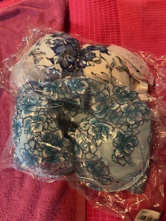 本しば　本指様