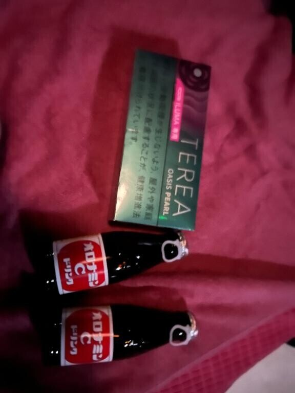 本指様の最高の差し入れ