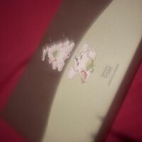 いつもの本指様！