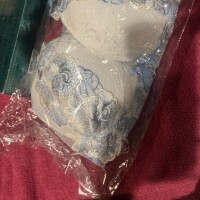 本指様！