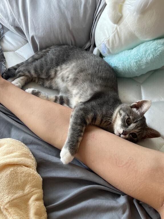 おもろ