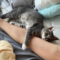 おもろ