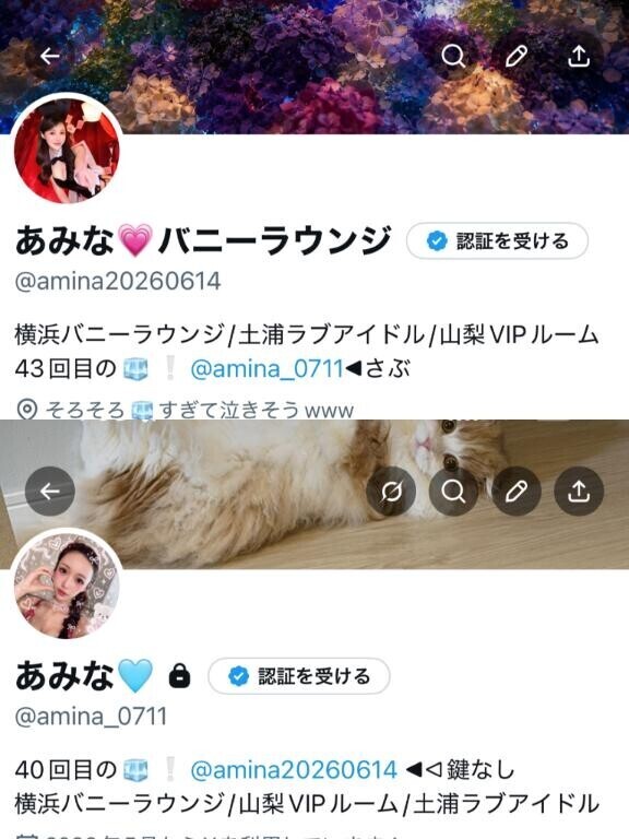 Twitterフォローしてね??