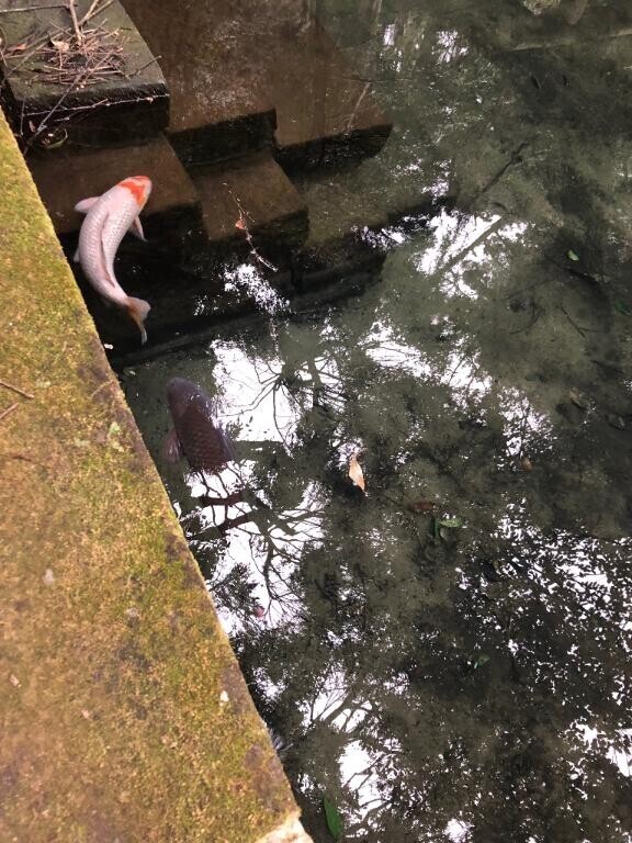 分かるなら運命