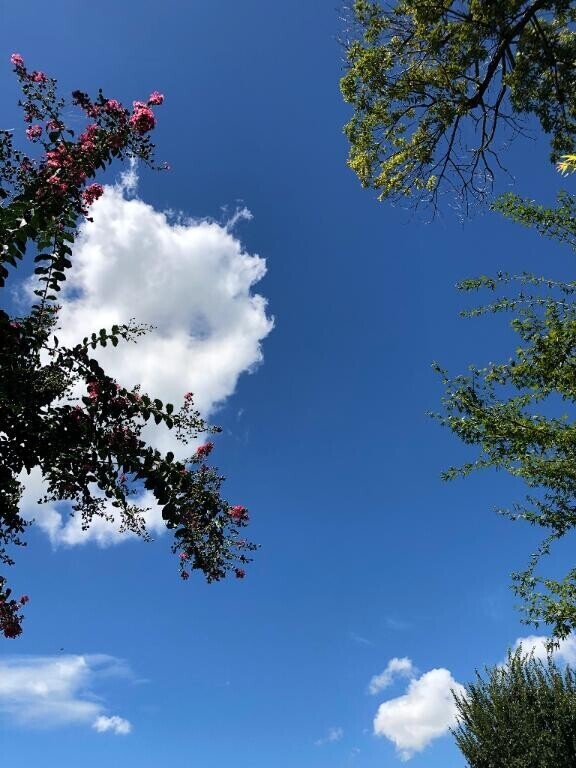 無性に夏が恋しいなぁ