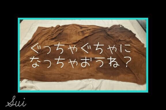 ぐちゃぐちゃになろ？