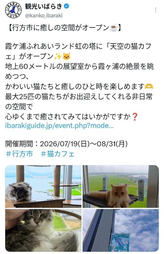 ??みたよ、ありがとうございます??