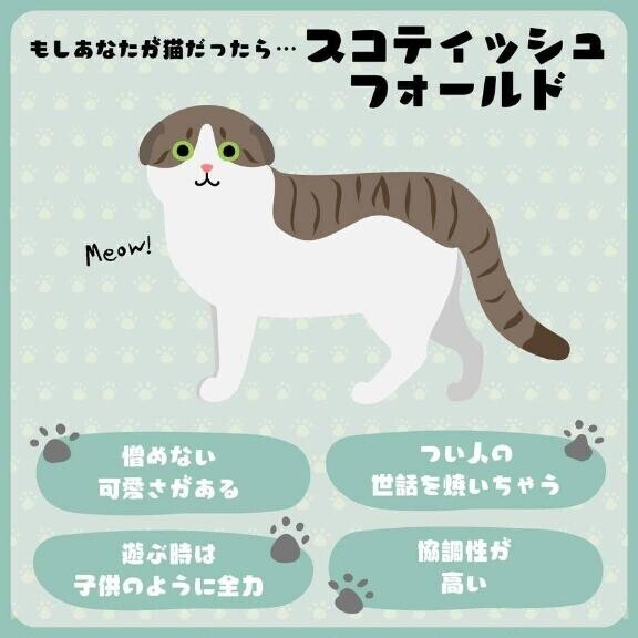?みたよ、ありがとうございます?