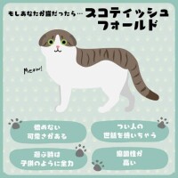 ?みたよ、ありがとうございます?