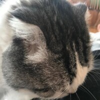 ?みたよ、ありがとうございます?