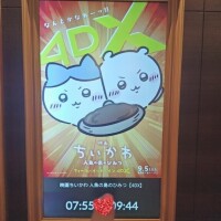 朝活ちい活??