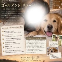 ??みたよ、ありがとうございます??