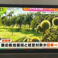 ??みたよ、ありがとうございます??