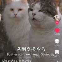 ?みたよ、ありがとうございます?