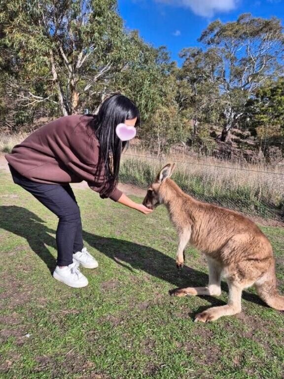 跳ねすぎ注意?今日はカンガルーも私もアクティブモード?