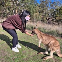 跳ねすぎ注意?今日はカンガルーも私もアクティブモード?
