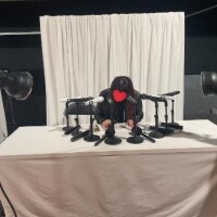 謝罪会見からはじまります