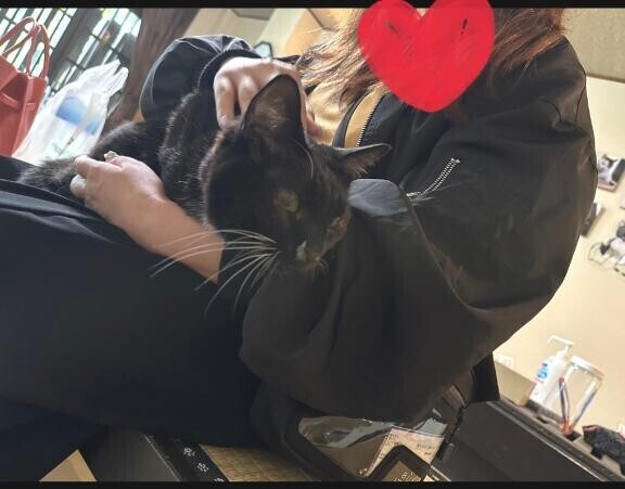 [お題]from:怖いんだけどさん