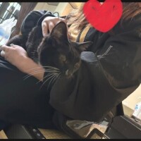 [お題]from:怖いんだけどさん