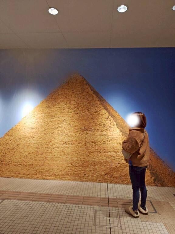 抱きたい女と、抱かれたい男