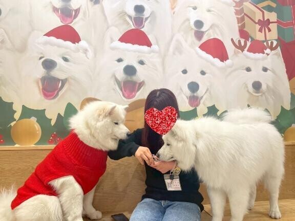 モテ過ぎて困っちゃうなぁ?