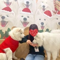 モテ過ぎて困っちゃうなぁ?