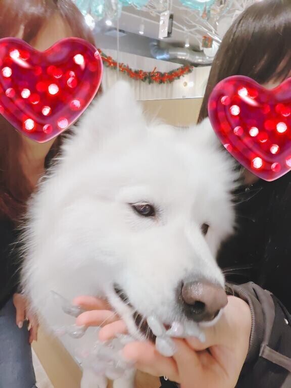 次も会えるから頑張れるね?