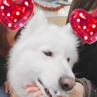 次も会えるから頑張れるね?