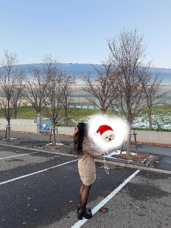 エルコンドルパサー?