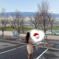 エルコンドルパサー?