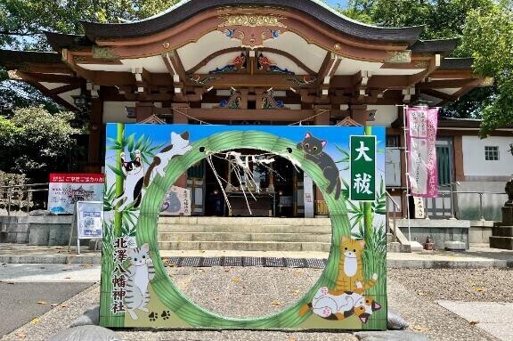 ??みたよ、ありがとうございます??