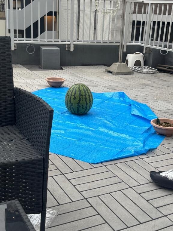 友達とスイカ割りした?
