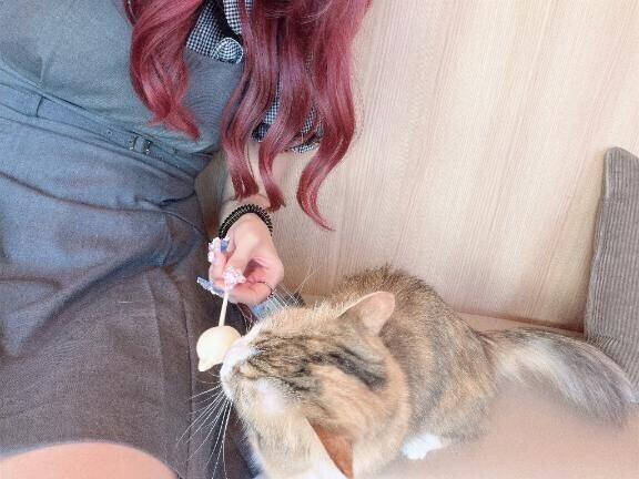 まったり生活