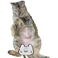 ゆいな