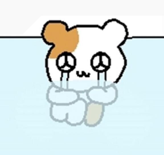 ごめんなさい??