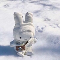 ご報告