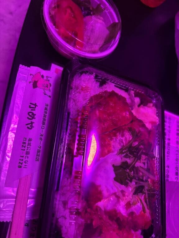 14:40- 本指名様?