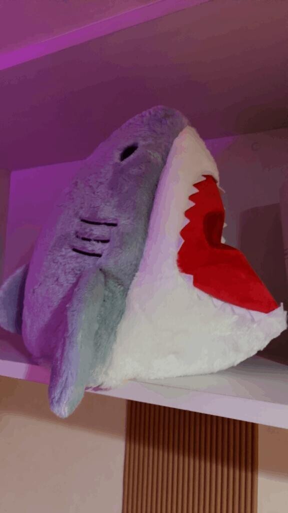 ミーアキャットはキャットではない