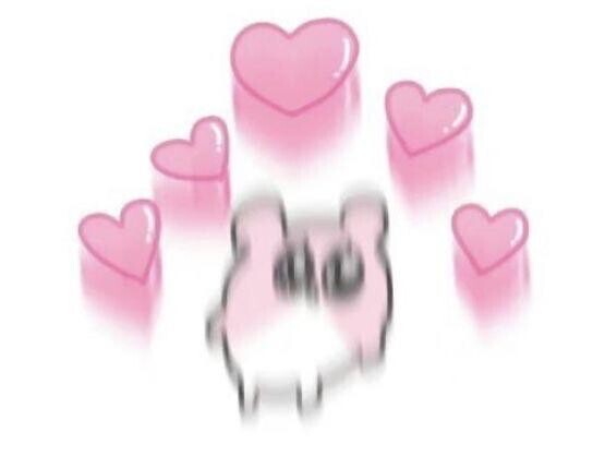 最終日です！！