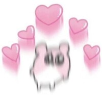 最終日です！！