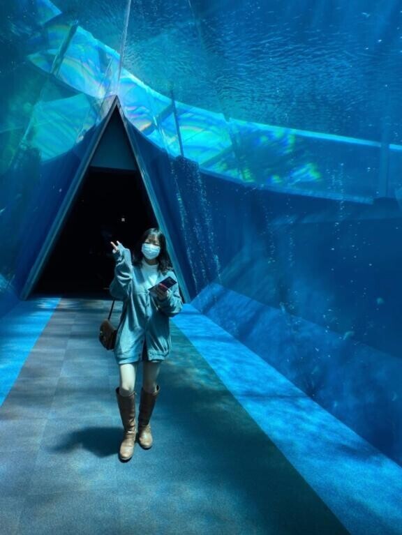 これはまさかの4年前