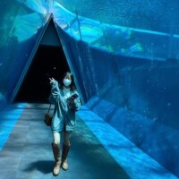 これはまさかの4年前