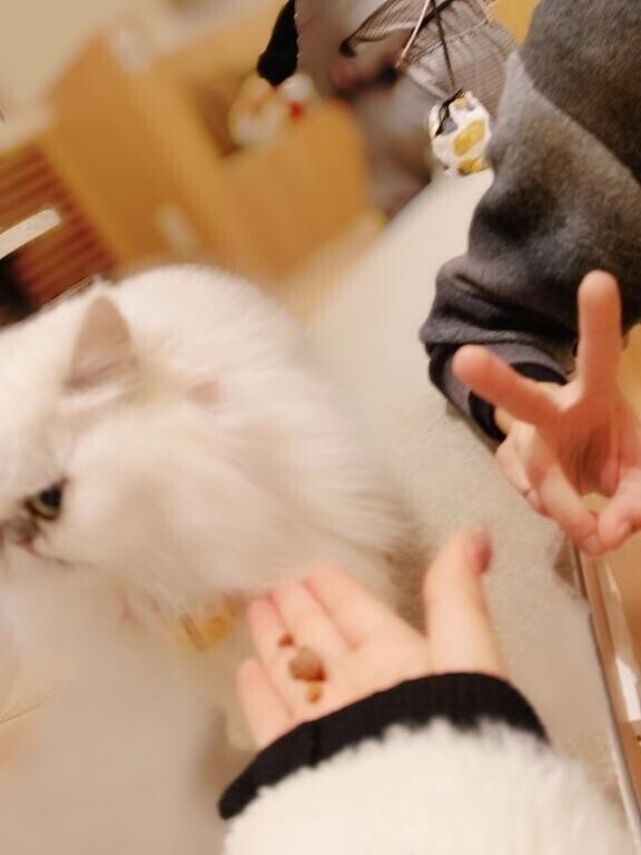 あっという間の時間でした??