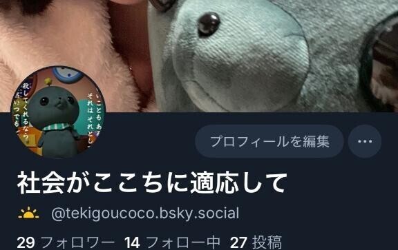 適応できませんでした