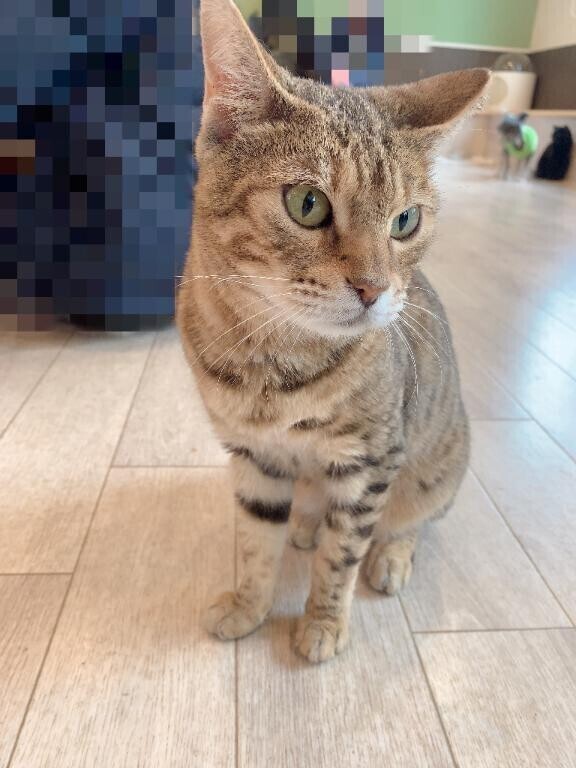 最終日 満枠?ありがとう?