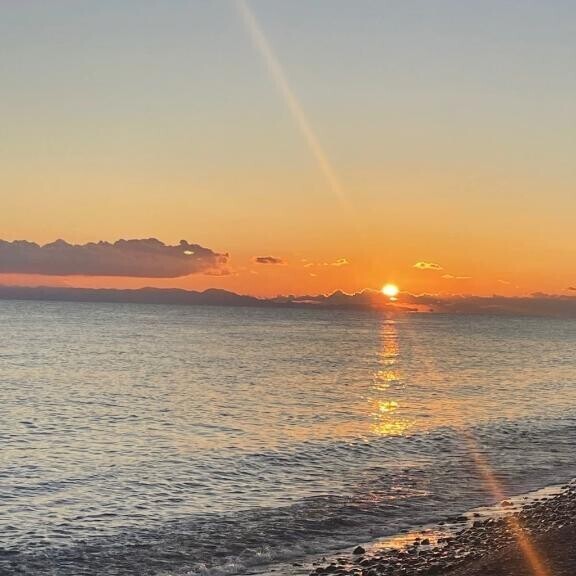 ????? ???? ????.???.??