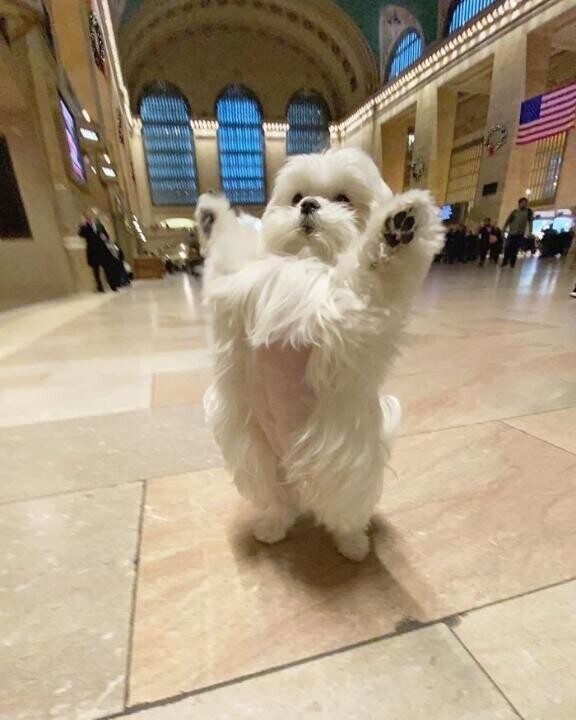 またしても凍結?