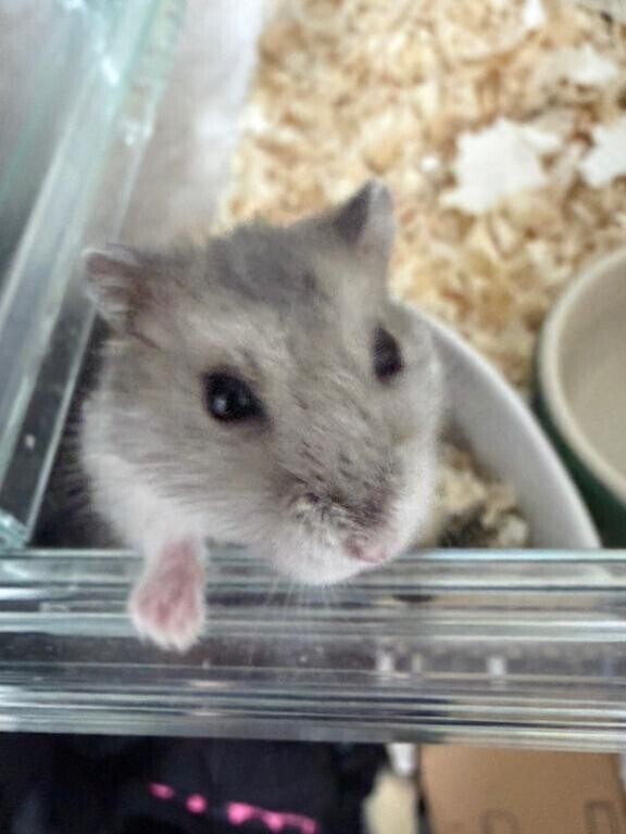 家族を紹介します??