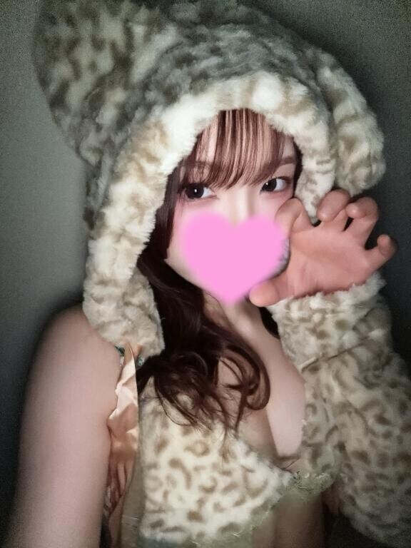 野生のねこちやん、?